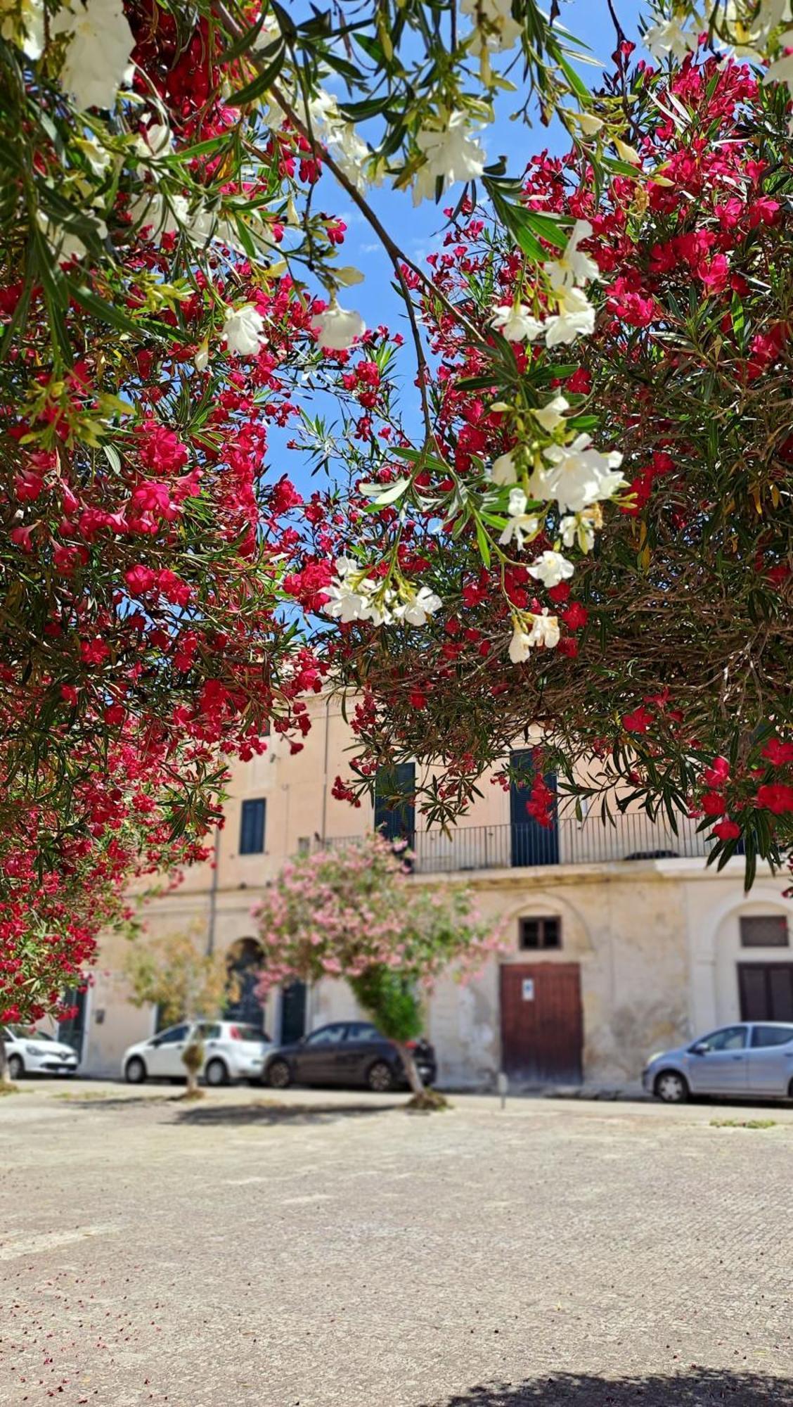Mayu'S House , Dimora Nel Centro Storico Di Лечче Екстер'єр фото